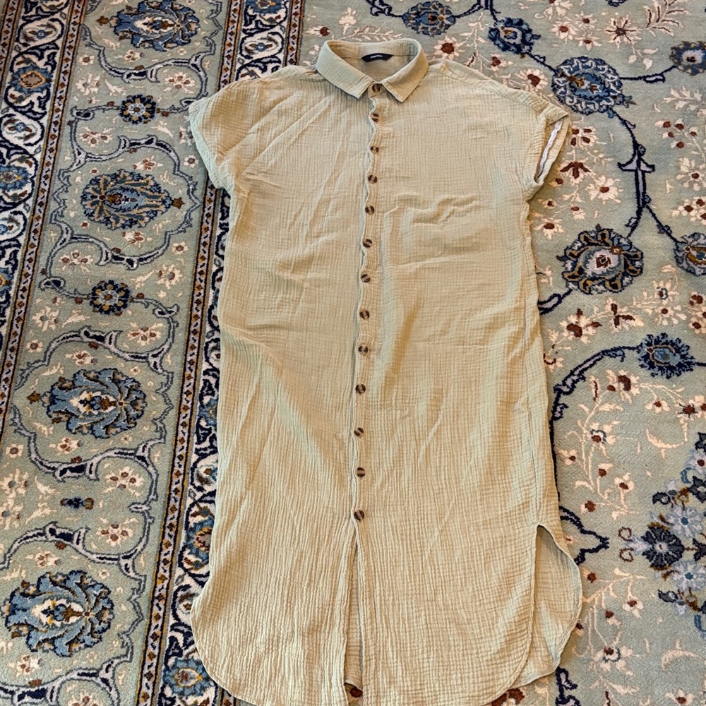 Light Sage Button-Down Shirt Dress